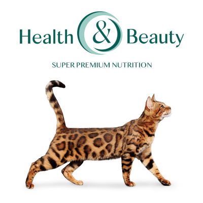 Сухий корм Optimeal Adult Cat Chicken для дорослих котів 700г (курка) Сухий корм Optimeal Adult Cat Chicken для дорослих котів 700г (курка)