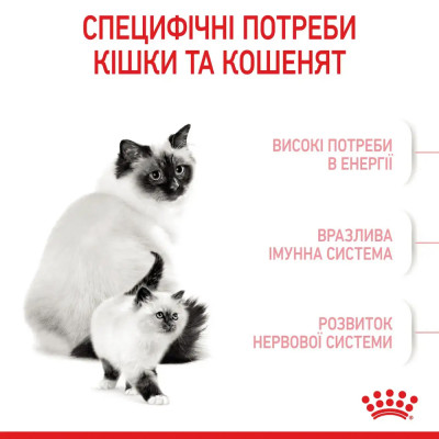 Сухий корм для кошенят Royal Canin Mother & Babycat 2 кг + контейнер у подарунок (домашня птиця) Сухий корм для кошенят Royal Canin Mother & Babycat 2 кг + контейнер у подарунок (домашня птиця)