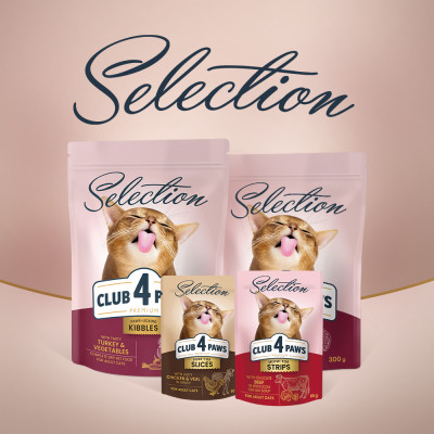 Вологий корм для дорослих котів Club 4 Paws pouch 80 г (оселедець і салака) Вологий корм для дорослих котів Club 4 Paws pouch 80 г (оселедець і салака)