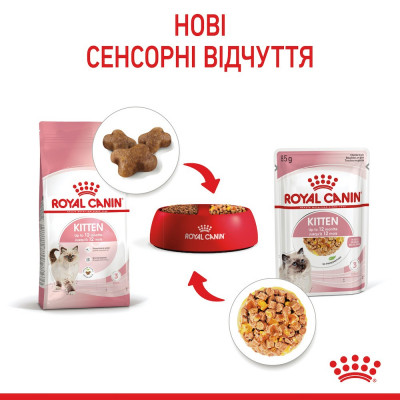 Вологий корм для кошенят Royal Canin Kitten Jelly 85 г (домашня птиця)