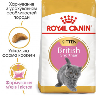 Сухой корм для котят породы британская короткошерстная Royal Canin Kitten British Shorthair 2 кг (домашняя птица) Сухой корм для котят породы британская короткошерстная Royal Canin Kitten British Shorthair 2 кг (домашняя птица)