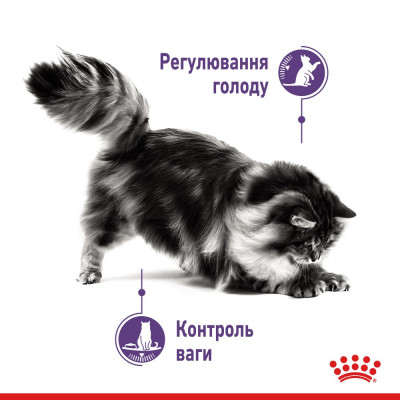 Влажный корм для кошек при ожирении и избыточном весе Royal Canine Wet Light Weight Cig pouch 85 g (домашняя птица) Влажный корм для кошек при ожирении и избыточном весе Royal Canine Wet Light Weight Cig pouch 85 g (домашняя птица)