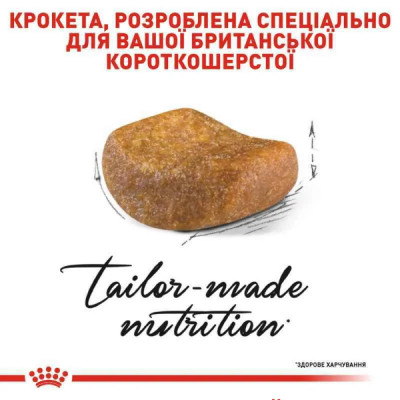 Сухий корм для дорослих котів породи британська короткошерста Royal Canin British Shorthair Adult 2 кг + контейнер у подарунок (домашня птиця) Сухий корм для дорослих котів породи британська короткошерста Royal Canin British Shorthair Adult 2 кг + контейнер у подарунок (домашня птиця)