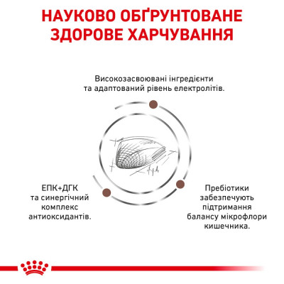 Сухой корм для кошек, при заболеваниях желудочно-кишечного тракта Royal Canin Gastro Intestinal 2 кг (домашняя птица) Сухой корм для кошек, при заболеваниях желудочно-кишечного тракта Royal Canin Gastro Intestinal 2 кг (домашняя птица)