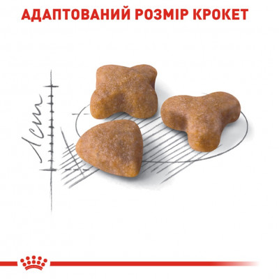Сухой корм для привередливых кошек с чувствительным пищеварением Royal Canin Sensible |10+2 кг в подарок (домашняя птица) Сухой корм для привередливых кошек с чувствительным пищеварением Royal Canin Sensible |10+2 кг в подарок (домашняя птица)