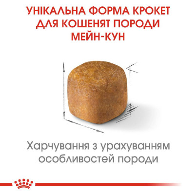 Сухий корм для кошенят породи мейн-кун Royal Canin Kitten Maine Coon | 2 кг (домашня птиця) + Подарунок тунель-іграшка Сухий корм для кошенят породи мейн-кун Royal Canin Kitten Maine Coon | 2 кг (домашня птиця) + Подарунок тунель-іграшка