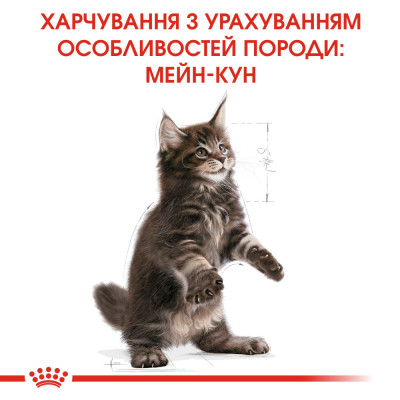 Сухий корм для кошенят породи мейн-кун Royal Canin Kitten Maine Coon | 4 кг + Catsan 10 л (домашня птиця) Сухий корм для кошенят породи мейн-кун Royal Canin Kitten Maine Coon | 4 кг + Catsan 10 л (домашня птиця)