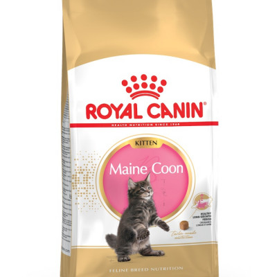 Сухий корм для кошенят породи мейн-кун Royal Canin Kitten Maine Coon | 4 кг + Catsan 10 л (домашня птиця) Сухий корм для кошенят породи мейн-кун Royal Canin Kitten Maine Coon | 4 кг + Catsan 10 л (домашня птиця)