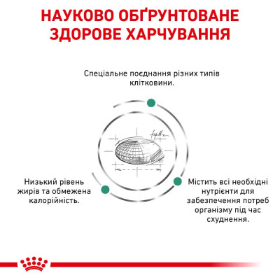 Сухий корм для котів із зайвою вагою Royal Canin Satiety Weight Management 3,5 кг (домашня птиця) Сухий корм для котів із зайвою вагою Royal Canin Satiety Weight Management 3,5 кг (домашня птиця)