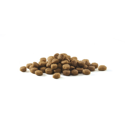 Сухий корм для домашніх котів Purina One Indoor 1,5 кг (індичка) Сухий корм для домашніх котів Purina One Indoor 1,5 кг (індичка)