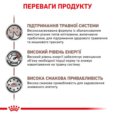 Сухий корм для котів, при захворюваннях шлунково-кишкового тракту Royal Canin Gastro Intestinal 400 г (домашня птиця) Сухий корм для котів, при захворюваннях шлунково-кишкового тракту Royal Canin Gastro Intestinal 400 г (домашня птиця)