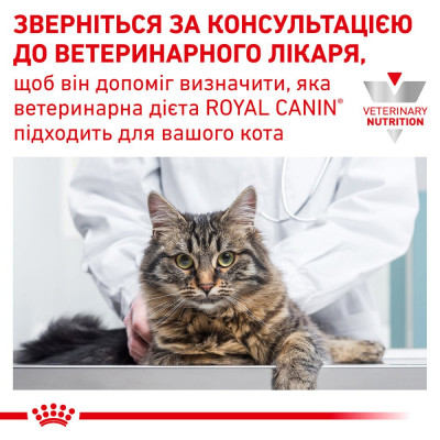 Сухий корм для котів, при захворюваннях шлунково-кишкового тракту Royal Canin Gastro Intestinal 400 г (домашня птиця) Сухий корм для котів, при захворюваннях шлунково-кишкового тракту Royal Canin Gastro Intestinal 400 г (домашня птиця)