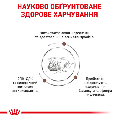 Сухий корм для котів, при захворюваннях шлунково-кишкового тракту Royal Canin Gastro Intestinal 400 г (домашня птиця) Сухий корм для котів, при захворюваннях шлунково-кишкового тракту Royal Canin Gastro Intestinal 400 г (домашня птиця)