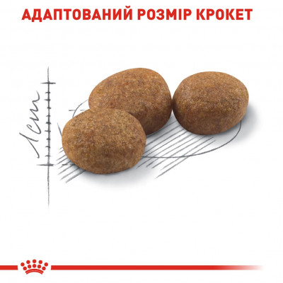 Сухий корм для стерилізованих котів Royal Canin Sterilised 37 | 2 кг + 12 шт х 85 г паучів вологого корму для котів + інтерактивна годівниця