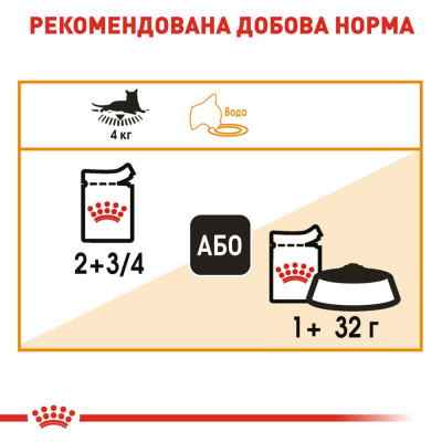 Вологий корм для котів, шерсть яких вимагає додаткового догляду Royal Canin Intense Beauty Jelly 85 г (домашня птиця) Вологий корм для котів, шерсть яких вимагає додаткового догляду Royal Canin Intense Beauty Jelly 85 г (домашня птиця)