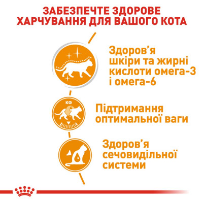 Вологий корм для котів, шерсть яких вимагає додаткового догляду Royal Canin Intense Beauty Jelly 85 г (домашня птиця) Вологий корм для котів, шерсть яких вимагає додаткового догляду Royal Canin Intense Beauty Jelly 85 г (домашня птиця)