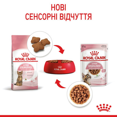 Влажный корм для стерилизованных котят Royal Canin Kitten Sterilised pouch 85г, 3+1 шт в подарок (домашняя птица) Влажный корм для стерилизованных котят Royal Canin Kitten Sterilised pouch 85г, 3+1 шт в подарок (домашняя птица)