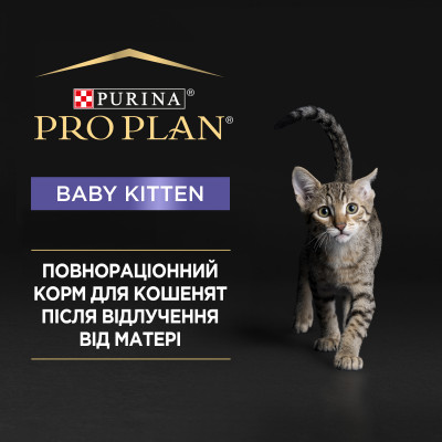 Влажный корм для котят Pro Plan Baby Kitten Chicken 85 г (курица) Влажный корм для котят Pro Plan Baby Kitten Chicken 85 г (курица)