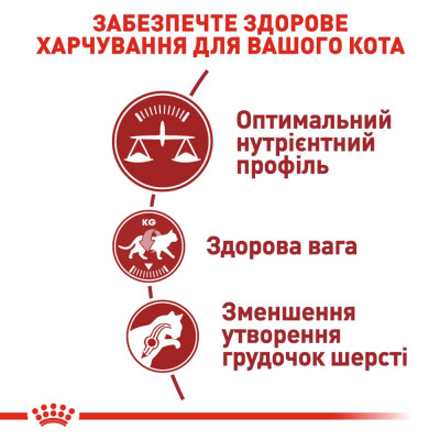 Сухий корм для дорослих котів Royal Canin Fit 32| 4 кг + Catsan 10 л (домашня птиця) Сухий корм для дорослих котів Royal Canin Fit 32| 4 кг + Catsan 10 л (домашня птиця)