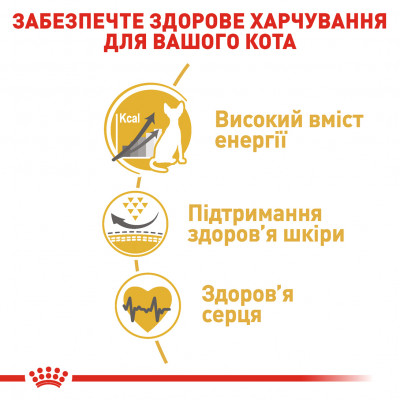 Сухий корм для дорослих котів породи сфінкс Royal Canin Sphynx Adult 2 кг (домашня птиця)