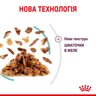 Вологий корм для котів для стимуляції тактильних рецепторів ротової порожнини Royal Sensory Feel Jelly pouch 85г, 3+1 шт у подарунок (домашня птиця) Вологий корм для котів для стимуляції тактильних рецепторів ротової порожнини Royal Sensory Feel Jelly pouch 85г, 3+1 шт у подарунок (домашня птиця)