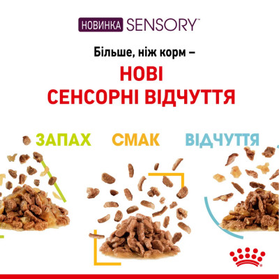 Вологий корм для котів для стимуляції тактильних рецепторів ротової порожнини Royal Sensory Feel Jelly pouch 85г, 3+1 шт у подарунок (домашня птиця) Вологий корм для котів для стимуляції тактильних рецепторів ротової порожнини Royal Sensory Feel Jelly pouch 85г, 3+1 шт у подарунок (домашня птиця)