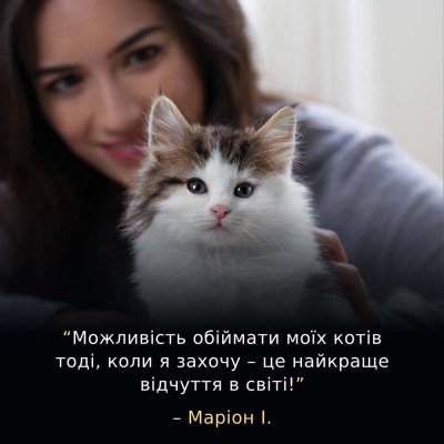 Сухий корм для кошенят ProPlan LiveClear Kitten 1,4 кг (індичка) Сухий корм для кошенят ProPlan LiveClear Kitten 1,4 кг (індичка)