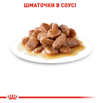 Вологий корм для котів, шерсть яких вимагає додаткового догляду Royal Canin Intense Beauty Gravy pouch 85 г (домашня птиця) Вологий корм для котів, шерсть яких вимагає додаткового догляду Royal Canin Intense Beauty Gravy pouch 85 г (домашня птиця)
