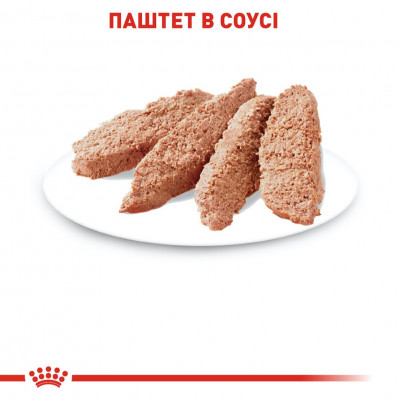 Влажный корм для стерилизованных кошек Royal Canin Sterilised Loaf pouch 85г, 3+1 шт в подарок (домашняя птица) Влажный корм для стерилизованных кошек Royal Canin Sterilised Loaf pouch 85г, 3+1 шт в подарок (домашняя птица)