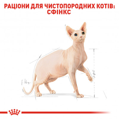Сухий корм для дорослих котів породи сфінкс Royal Canin Sphynx Adult 400 г (домашня птиця) Сухий корм для дорослих котів породи сфінкс Royal Canin Sphynx Adult 400 г (домашня птиця)