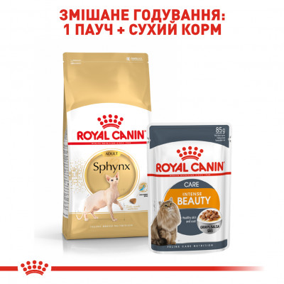 Сухий корм для дорослих котів породи сфінкс Royal Canin Sphynx Adult 400 г (домашня птиця) Сухий корм для дорослих котів породи сфінкс Royal Canin Sphynx Adult 400 г (домашня птиця)