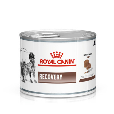 Вологий корм для котів та собак в реабілітаційний період Royal Canin Recovery 195 г (домашня птиця)