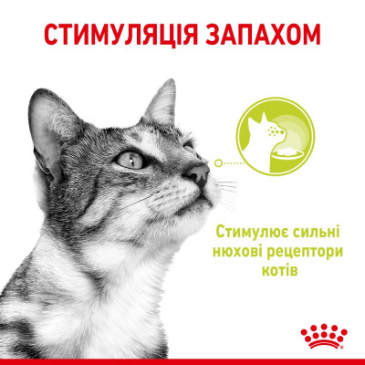 Влажный корм для привередливых к запаху кошек Royal Sensory Smell pouch в соусе 85г, 3+1 шт в подарок Влажный корм для привередливых к запаху кошек Royal Sensory Smell pouch в соусе 85г, 3+1 шт в подарок
