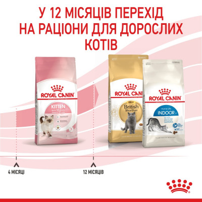 Сухий корм для кошенят Royal Canin Kitten | 4 кг + Catsan 10 л (домашня птиця) Сухий корм для кошенят Royal Canin Kitten | 4 кг + Catsan 10 л (домашня птиця)