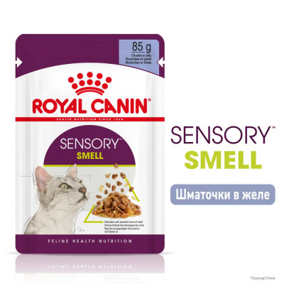 Вологий корм для вибагливих до запаху котів Royal Canin Sensory Smell Jelly pouch 85г, 3+1 шт у подарунок (домашня птиця) Вологий корм для вибагливих до запаху котів Royal Canin Sensory Smell Jelly pouch 85г, 3+1 шт у подарунок (домашня птиця)