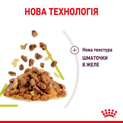 Вологий корм для вибагливих до запаху котів Royal Canin Sensory Smell Jelly pouch 85г, 3+1 шт у подарунок (домашня птиця) Вологий корм для вибагливих до запаху котів Royal Canin Sensory Smell Jelly pouch 85г, 3+1 шт у подарунок (домашня птиця)