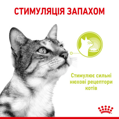 Вологий корм для вибагливих до запаху котів Royal Canin Sensory Smell Jelly pouch 85г, 3+1 шт у подарунок (домашня птиця) Вологий корм для вибагливих до запаху котів Royal Canin Sensory Smell Jelly pouch 85г, 3+1 шт у подарунок (домашня птиця)