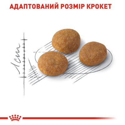 Сухой корм для привередливых кошек Royal Canin Exigent Aromatic 2 кг (домашняя птица) Сухой корм для привередливых кошек Royal Canin Exigent Aromatic 2 кг (домашняя птица)