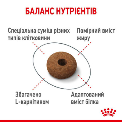 Сухий корм для стерилізованих котів, схильних до випрошування корму Royal Canin Sterilised Appetite Control, 2 кг (домашня птиця) Сухий корм для стерилізованих котів, схильних до випрошування корму Royal Canin Sterilised Appetite Control, 2 кг (домашня птиця)