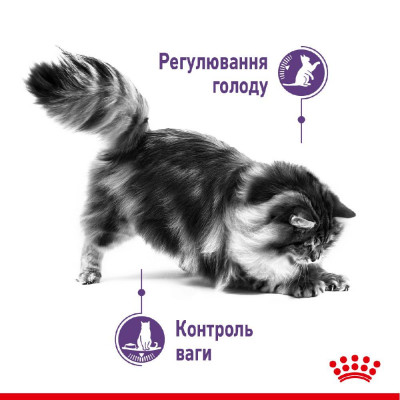 Сухий корм для стерилізованих котів, схильних до випрошування корму Royal Canin Sterilised Appetite Control, 2 кг (домашня птиця) Сухий корм для стерилізованих котів, схильних до випрошування корму Royal Canin Sterilised Appetite Control, 2 кг (домашня птиця)