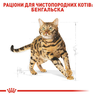 Сухий корм для дорослих котів бенгальської породи Royal Canin Bengal Adult 2 кг (домашня птиця) Сухий корм для дорослих котів бенгальської породи Royal Canin Bengal Adult 2 кг (домашня птиця)