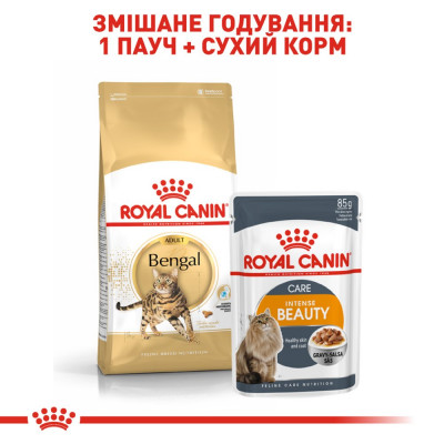 Сухий корм для дорослих котів бенгальської породи Royal Canin Bengal Adult 2 кг (домашня птиця) Сухий корм для дорослих котів бенгальської породи Royal Canin Bengal Adult 2 кг (домашня птиця)