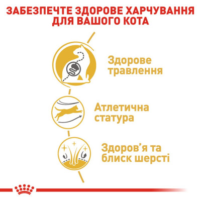 Сухий корм для дорослих котів бенгальської породи Royal Canin Bengal Adult 2 кг (домашня птиця) Сухий корм для дорослих котів бенгальської породи Royal Canin Bengal Adult 2 кг (домашня птиця)