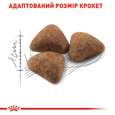 Сухий корм для котів, які живуть в приміщенні Royal Canin Indoor 27, 2 кг (домашня птиця) Сухий корм для котів, які живуть в приміщенні Royal Canin Indoor 27, 2 кг (домашня птиця)