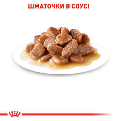 Вологий корм для стерилізованих котів Royal Canin Sterilised Gravy pouch 85г, 3+1 шт у подарунок (домашня птиця) Вологий корм для стерилізованих котів Royal Canin Sterilised Gravy pouch 85г, 3+1 шт у подарунок (домашня птиця)