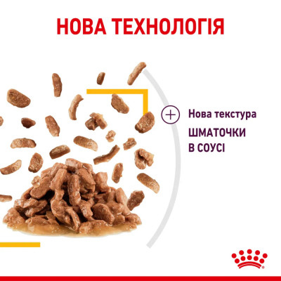 Влажный корм для привередливых кошек Royal Canin Sensory Taste Gravy pouch 85г, 3+1 шт в подарок (домашняя птица) Влажный корм для привередливых кошек Royal Canin Sensory Taste Gravy pouch 85г, 3+1 шт в подарок (домашняя птица)