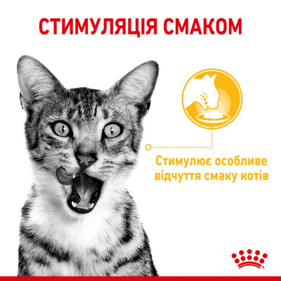 Влажный корм для привередливых кошек Royal Canin Sensory Taste Gravy pouch 85г, 3+1 шт в подарок (домашняя птица) Влажный корм для привередливых кошек Royal Canin Sensory Taste Gravy pouch 85г, 3+1 шт в подарок (домашняя птица)