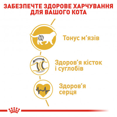 Сухий корм для дорослих котів породи британська короткошерста Royal Canin British Shorthair Adult 2 кг (домашня птиця) Сухий корм для дорослих котів породи британська короткошерста Royal Canin British Shorthair Adult 2 кг (домашня птиця)