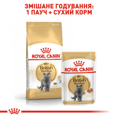 Сухий корм для дорослих котів породи британська короткошерста Royal Canin British Shorthair Adult 2 кг (домашня птиця) Сухий корм для дорослих котів породи британська короткошерста Royal Canin British Shorthair Adult 2 кг (домашня птиця)