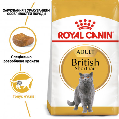 Сухий корм для дорослих котів породи британська короткошерста Royal Canin British Shorthair Adult 2 кг (домашня птиця) Сухий корм для дорослих котів породи британська короткошерста Royal Canin British Shorthair Adult 2 кг (домашня птиця)
